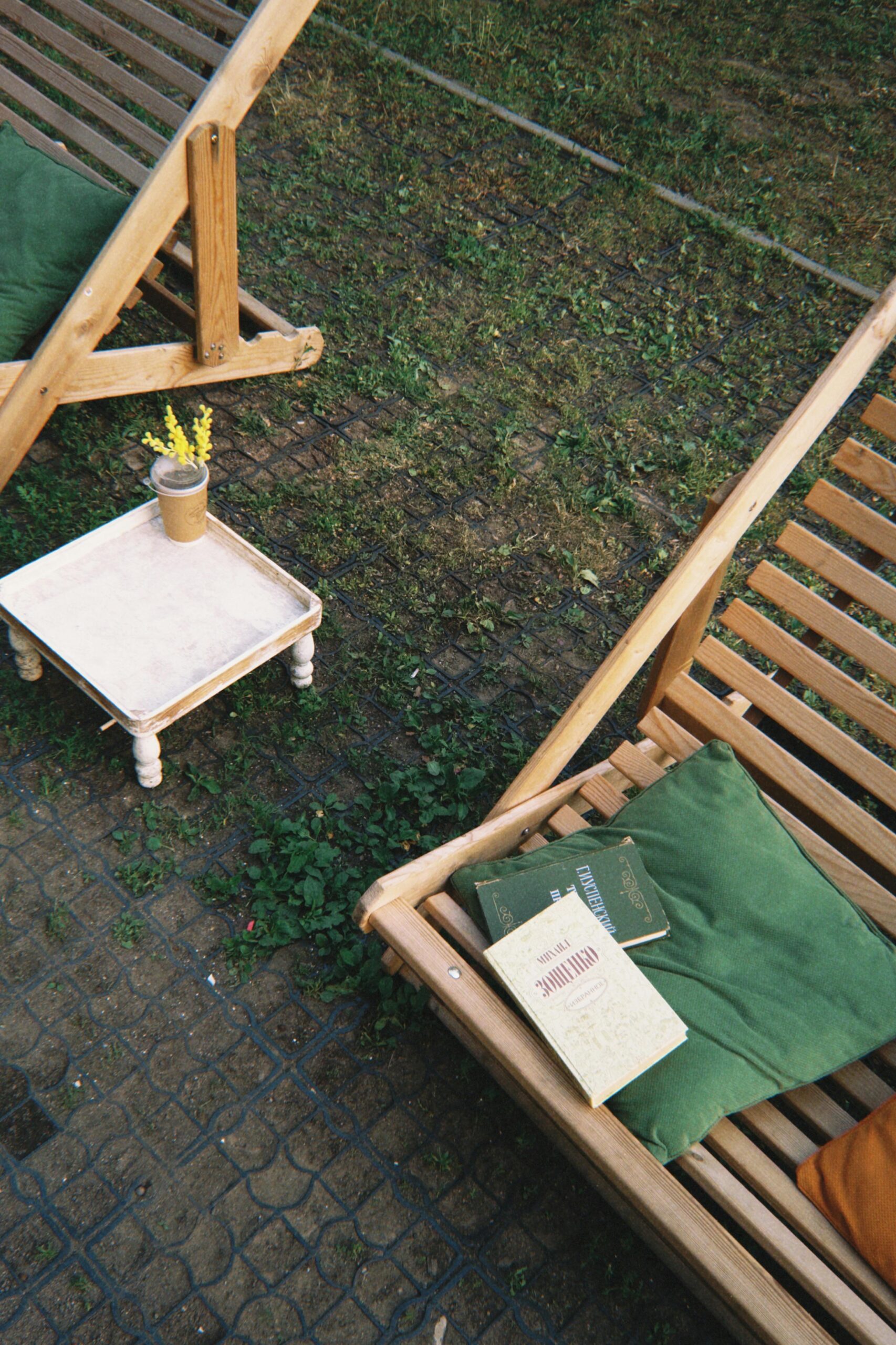 Relaxing outdoor garden setup with wooden loungers, books, and fresh greenery.